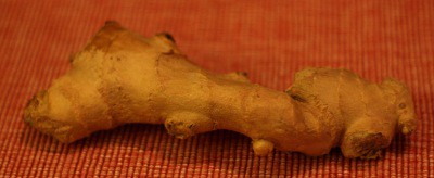 Zázvor