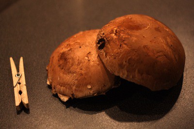 Portobello žampiony