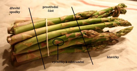 Chřest a jak na něj